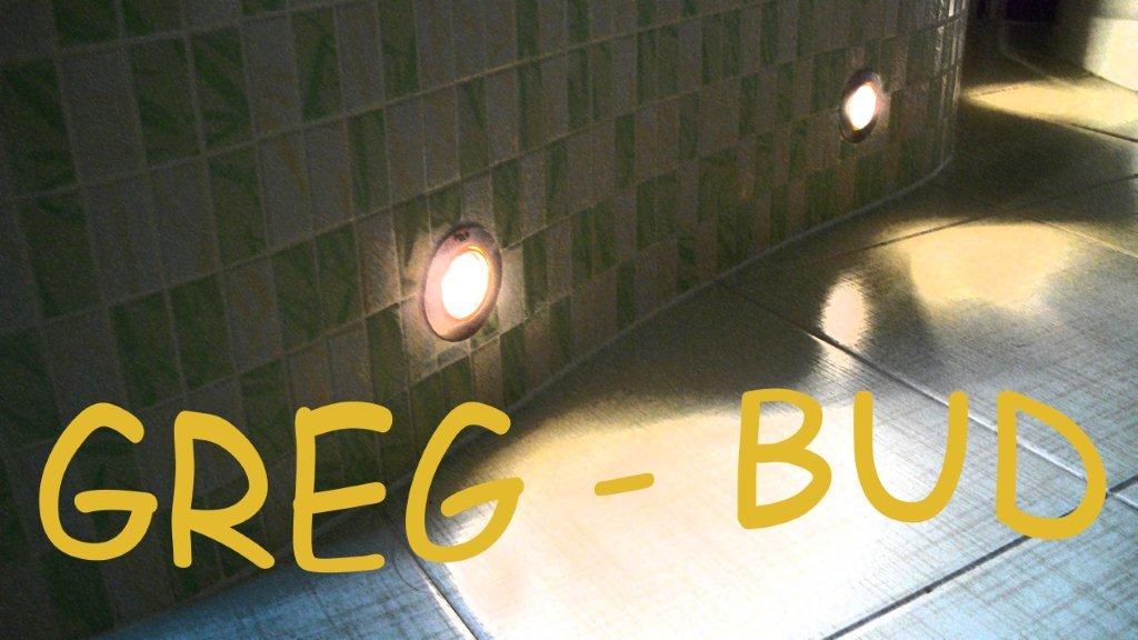 budowa i remont Pisarzowice